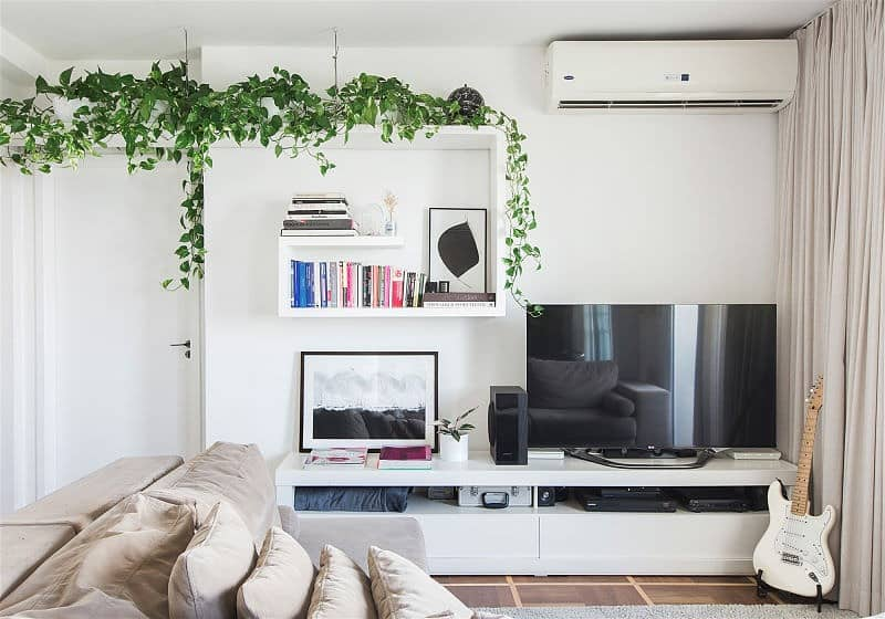 decoração com plantas na sala