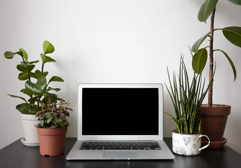 Decoração de ambiente